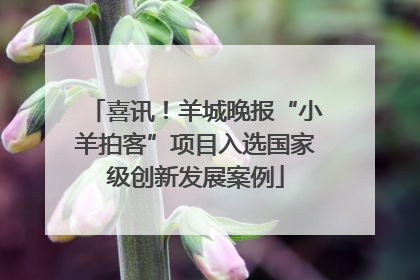 喜讯！羊城晚报“小羊拍客”项目入选国家级创新发展案例